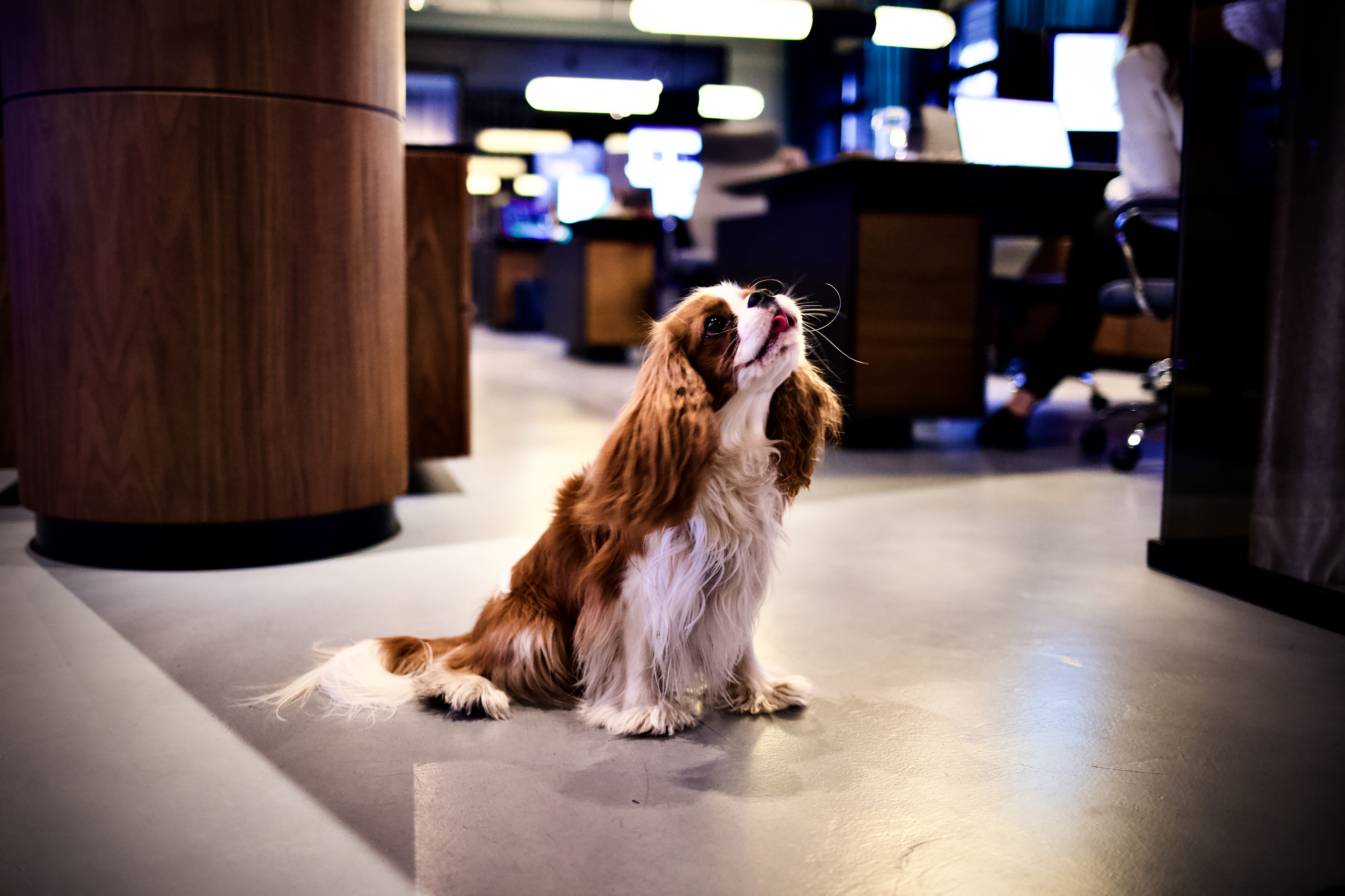 ux-design-fintech-agency