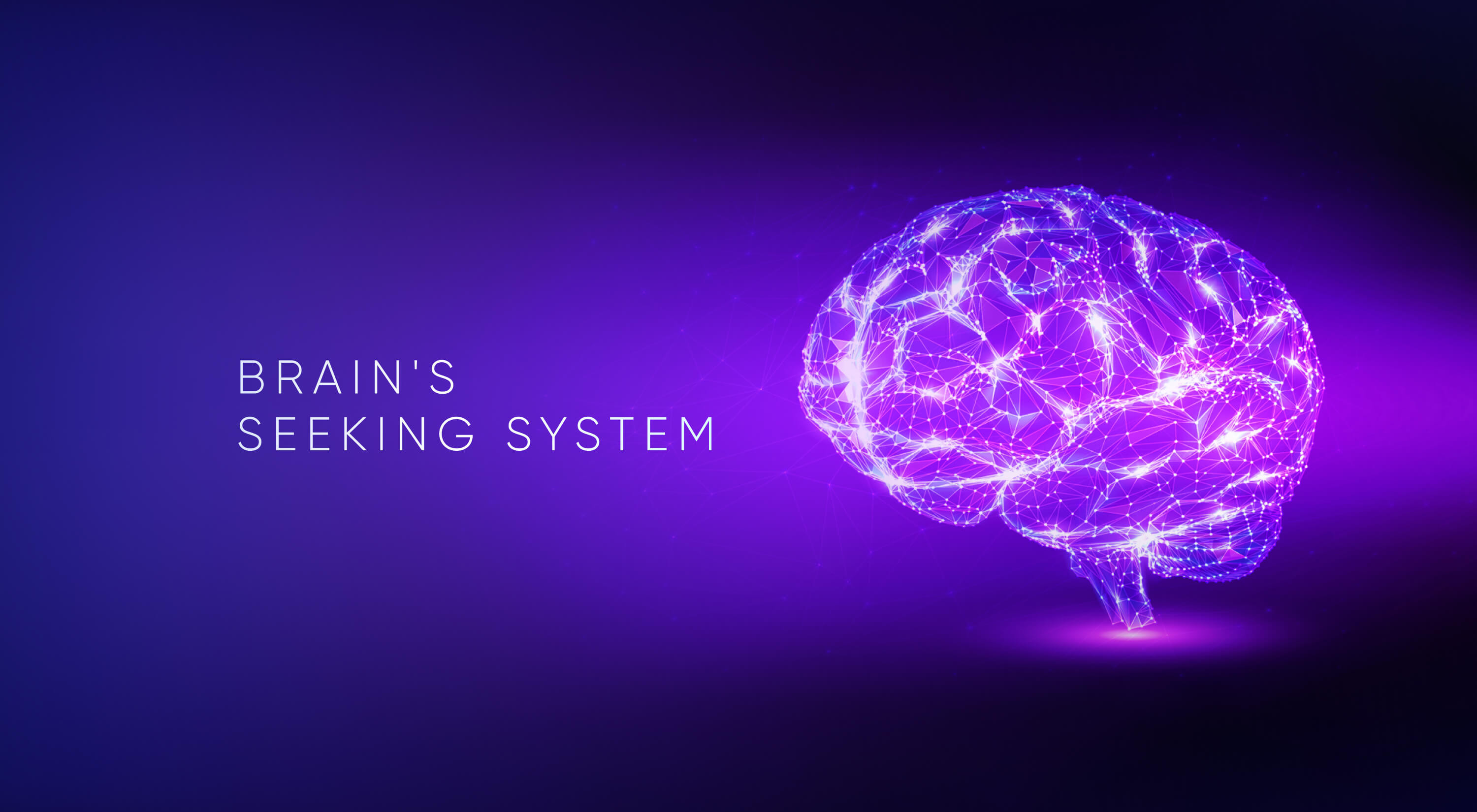 Purpose-Driven FinTech Design Should Address Brain's Seeking System